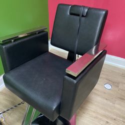 Salon Chair