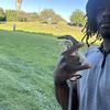 Angel Jackson