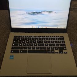 Acer Chromebook Laptop $250