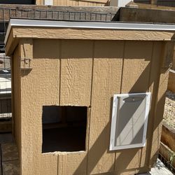 Dog House, Dog Shed, Chicken Coop