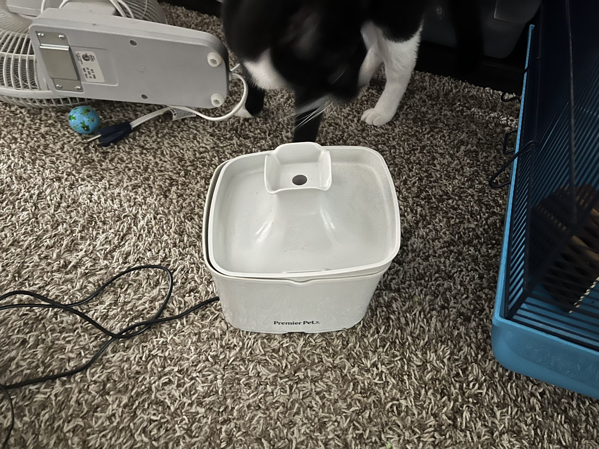 Cat Electric Water Tower