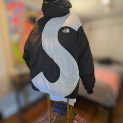 NorthFace Summit Series Mens size L 