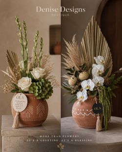 Introducing the OLA Collection