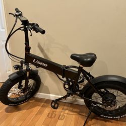 Electric Bike