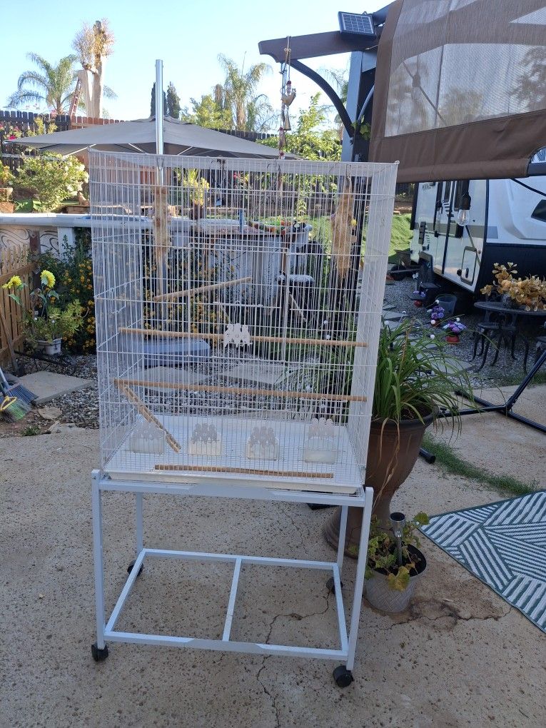 Bird Cage