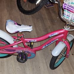 Young Kids Bike Schwinn