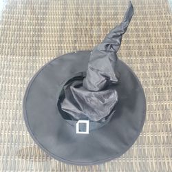 HALLOWEEN 2 WITCH HAT BLACK    17D INCH - $8 EACH