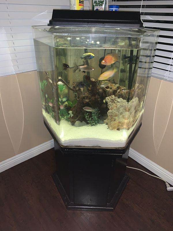80 gallons acrylic fish tank for Sale in Loma Linda, CA