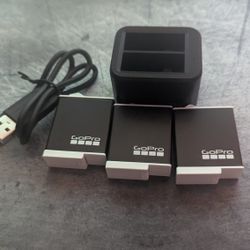 3X GoPro Enduro Batteries & 1 Charger