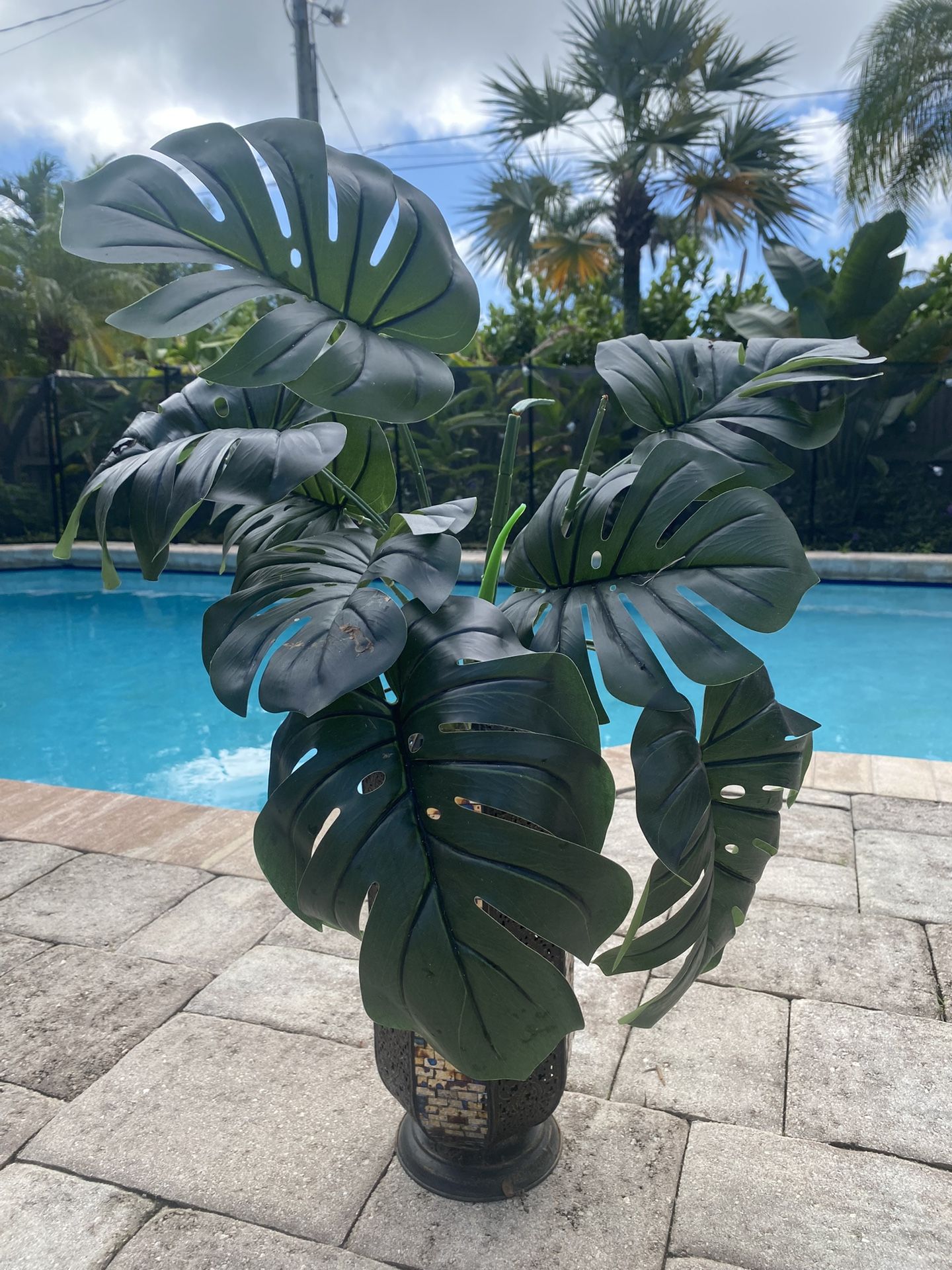 Fake plant & vase