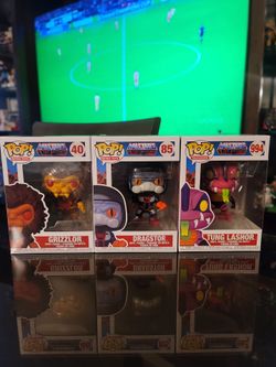 Masters of the universe funko