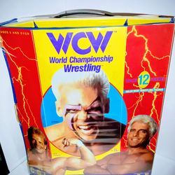 1991 WCW World Championship Wrestling Collectors Case Tara Corp. Ric Flair Sting