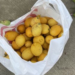Lemons