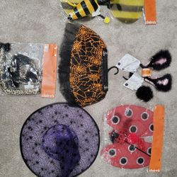 Dress Up Or Costume 