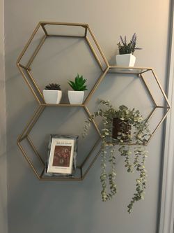 Shelf