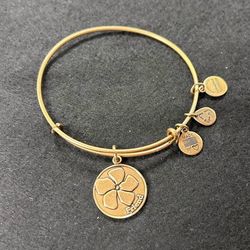 Alex and Ani Bracelet
