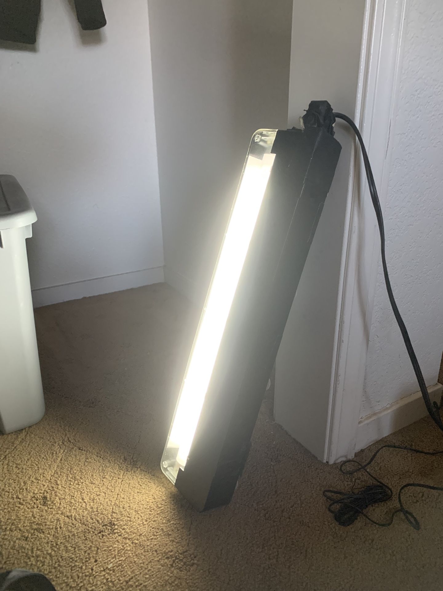 Reptile Light ( Asking 5$