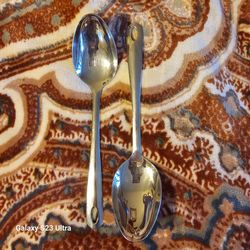 Stainless Steel Spoons Set of 2