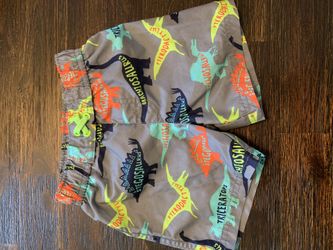 Swim Trunks 3t