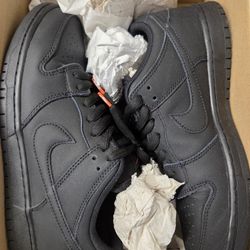 SB Dunk 9.5