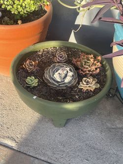 Garden Pots
