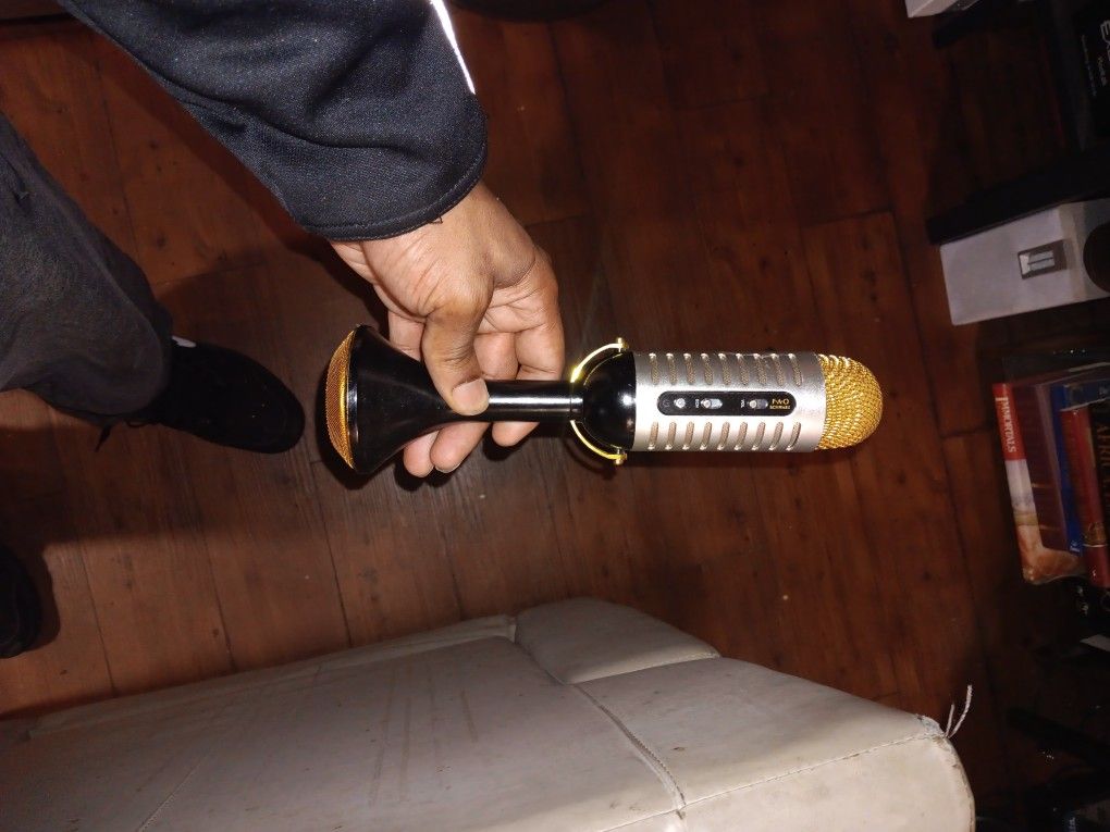 Karokee Portable Microphone