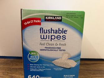 Kirkland Flushable Wipes 640 Count