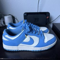 Authentic Lightly Worn Nike Dunk Low Coast Size 12 Men