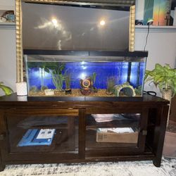 25 gallon Fish Tank W/ Everything 