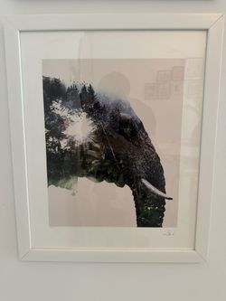 Framed Elephant Double-Exposure Print, White Frame, Signed (22 x 18 in)