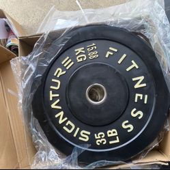 A pair of 35 bumper weights