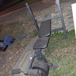 Golds Gym XR 6.1, $20