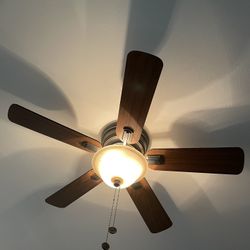 Ceiling Fan 