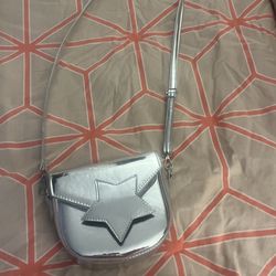 Metallic Purse