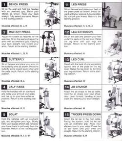 Exercise Chart Weider Xrs 50 Review Gym 8530 Weider 2980 Weider