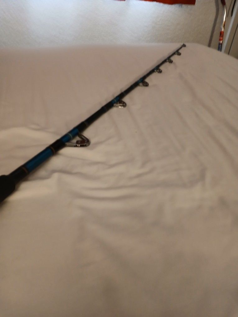 Trolling Rod Was Told It's A Calstar Not Possitve