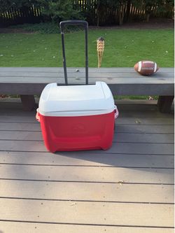Igloo Cooler