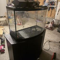 Fish Tank With Stand