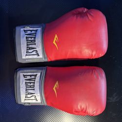 Everlast 14oz Boxing Gloves 