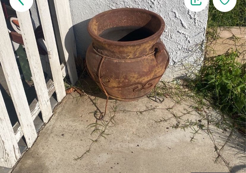 Plant Pot