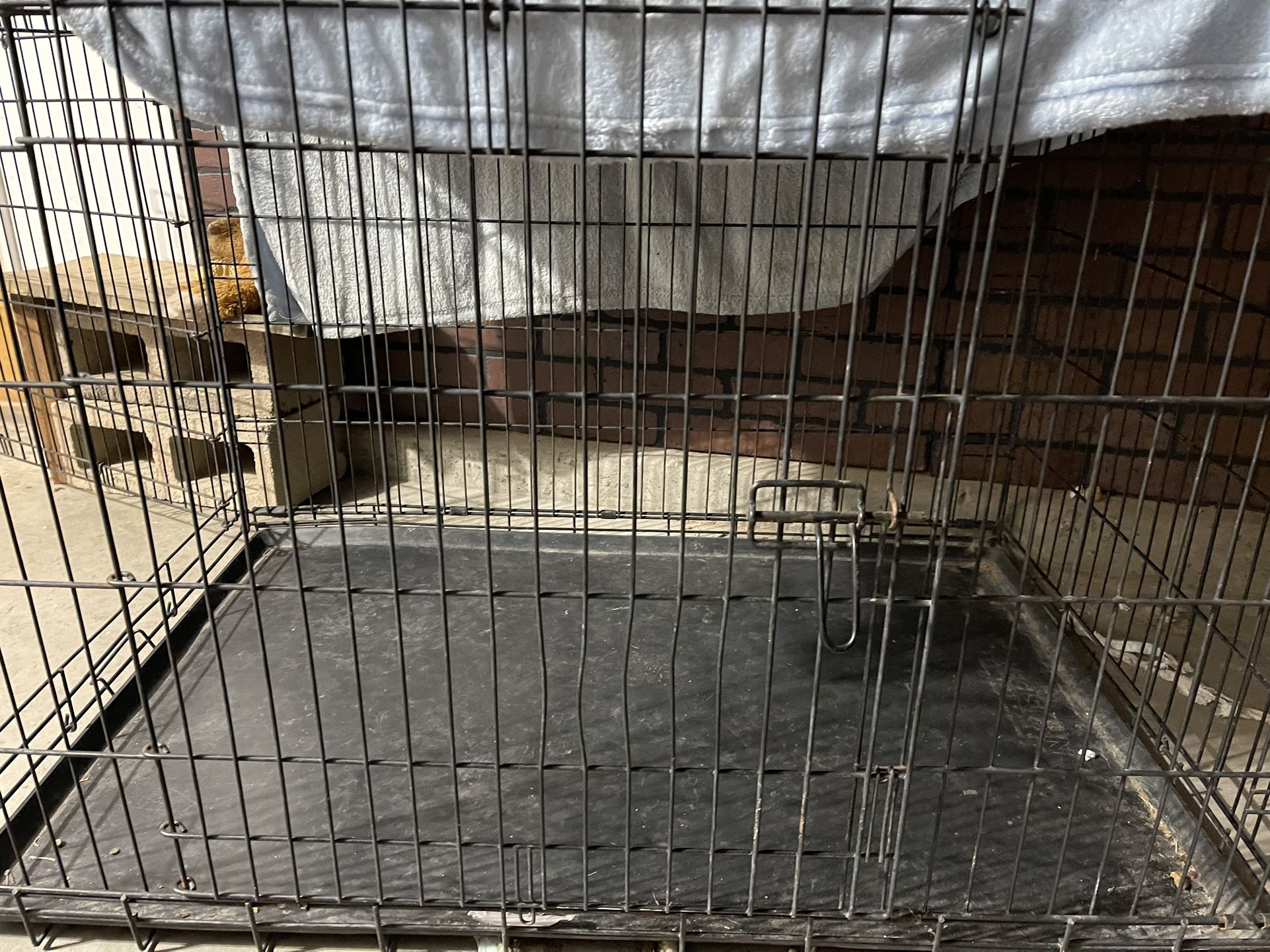 Large Dog Kennels 