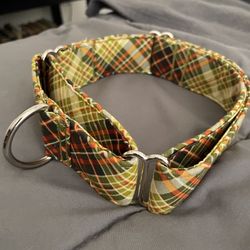 Martingale Dog Collar