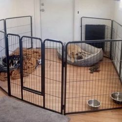 Brand New Animals Fence 