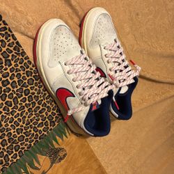 Nike Dunk Low Retro SE Retro Pack Men’s Size 8.5