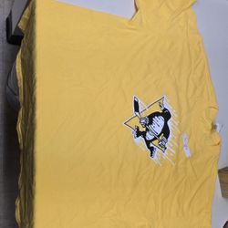 Pittsburgh Penguins 