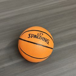 Spalding Ball (small)