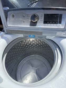 Labadora De Venta
