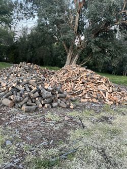 Seasoned Avocado Firewood 🔥🔥🥑Ready To Burn!
