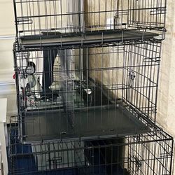 Training Dog Crates