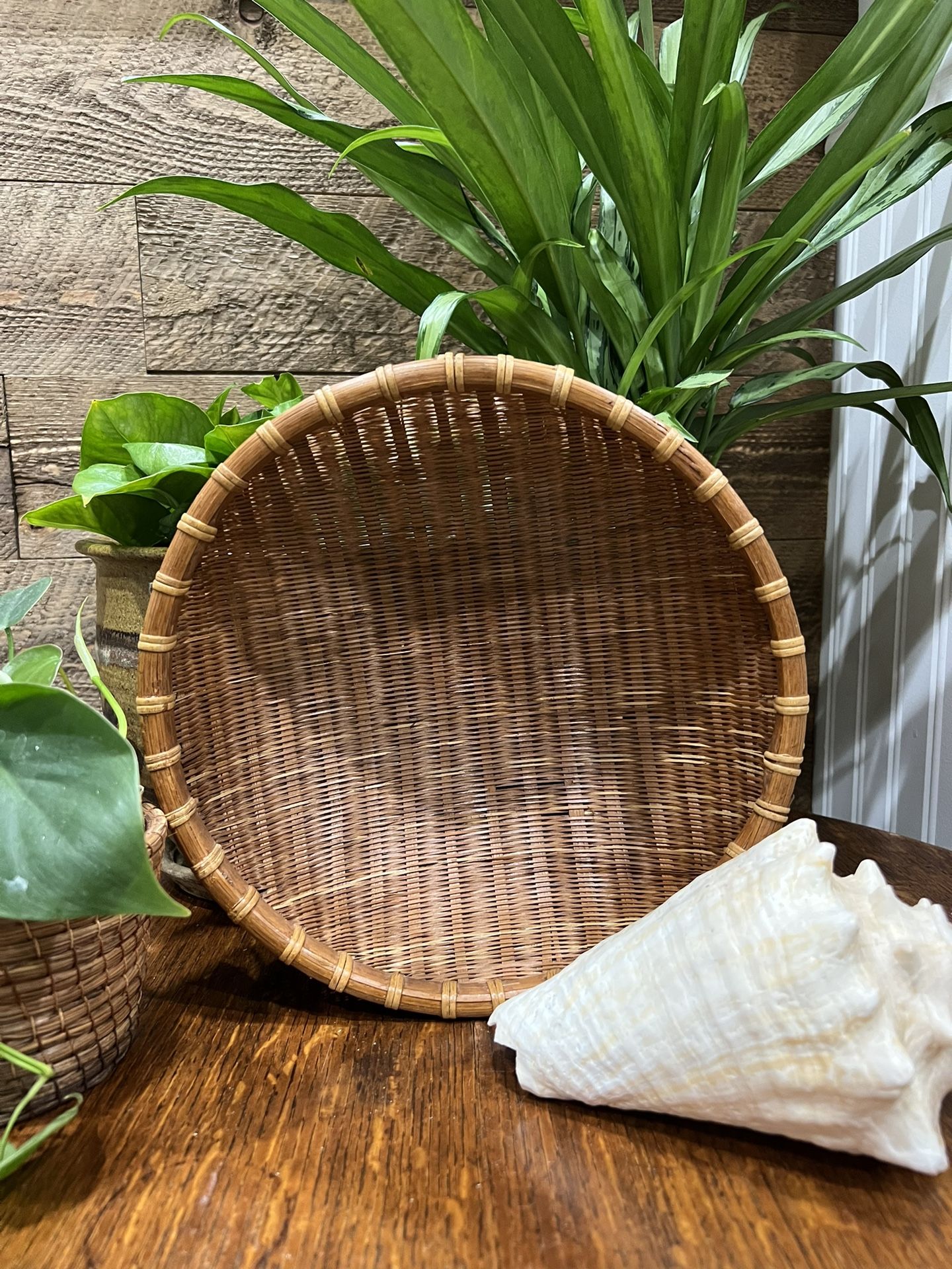 Round Wall Basket Bowl Woven Display Decor Boho Coastal Brown Decorative Storage